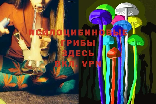 твердый Алексеевка