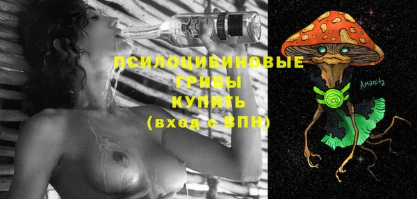 ПСИЛОЦИБИНОВЫЕ ГРИБЫ Алзамай
