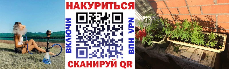 Бошки марихуана сатива Северодвинск